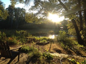 Photos 3_17_2017 128